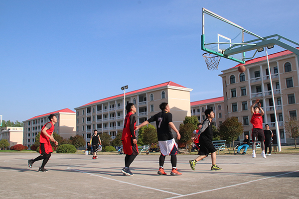 篮球2.jpg