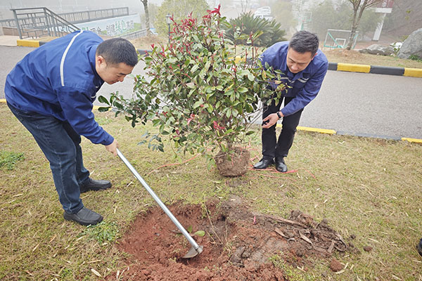 种植树苗600X400.jpg